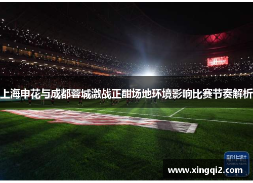 上海申花与成都蓉城激战正酣场地环境影响比赛节奏解析