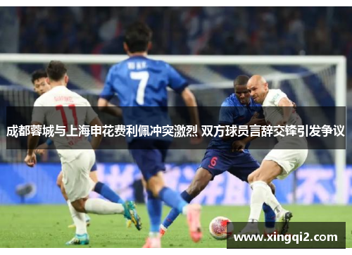 成都蓉城与上海申花费利佩冲突激烈 双方球员言辞交锋引发争议