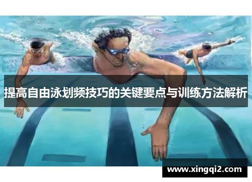 提高自由泳划频技巧的关键要点与训练方法解析