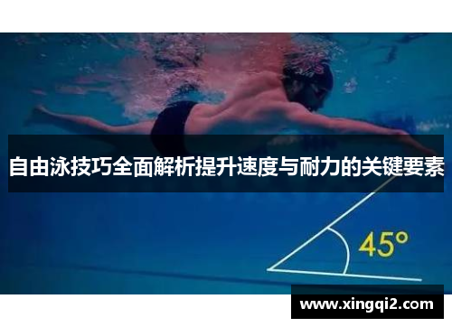 自由泳技巧全面解析提升速度与耐力的关键要素
