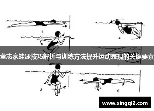 董志豪蛙泳技巧解析与训练方法提升运动表现的关键要素