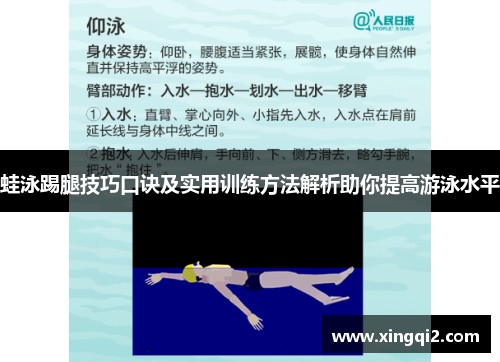 蛙泳踢腿技巧口诀及实用训练方法解析助你提高游泳水平