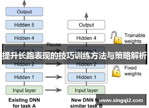提升长跑表现的技巧训练方法与策略解析